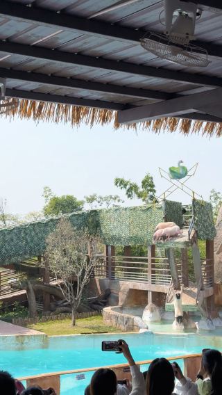 Near Nanchang | A 2-day, 1-night trip to get your fill of animal interactions