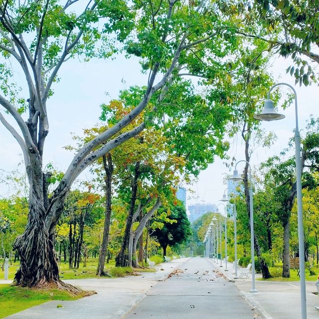 ขับรถไปสวนเบญจกิติ