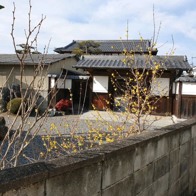 滋賀古城近江八幡散步