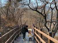 (대전 청주)아름다운 호수 산책길, 대청호💙