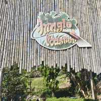Pongyang Zipline and Jungle Coaster