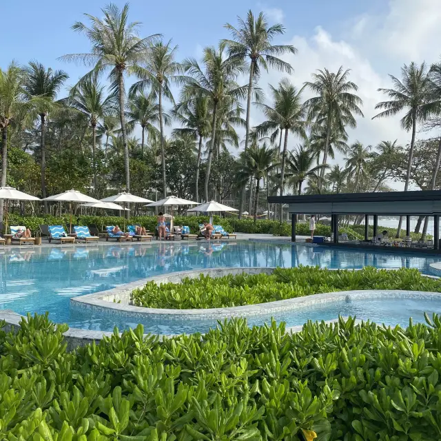 코사무이 6성급 호텔이 가성비까지 좋다고? Centara reserve samui