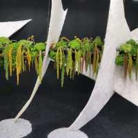 Hong Kong Flower Show 
