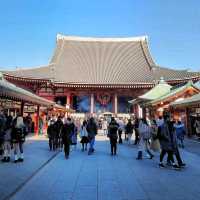 Spring in Asakusa, Tokyo 🌸🌸🌸