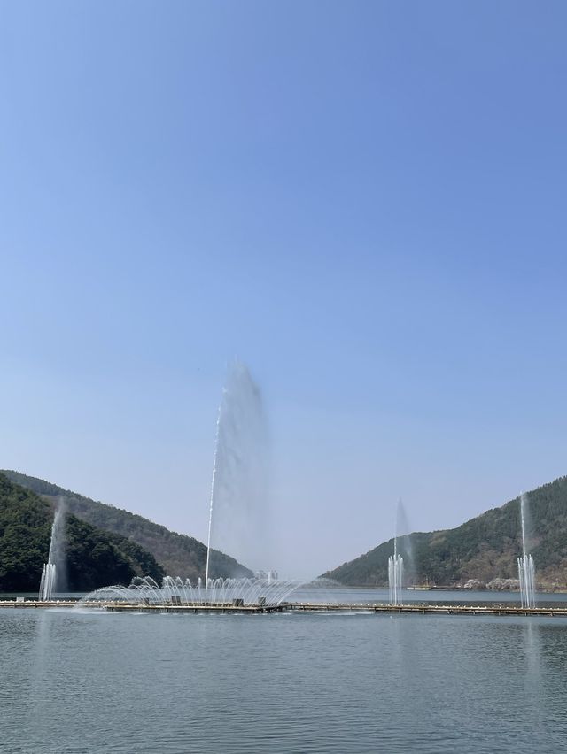 튤립과 벚꽃의 콜라보, 옥연지 송해공원🌸🌷