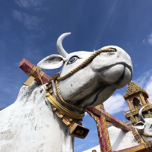 A breathtaking temple in Isan, Thailand