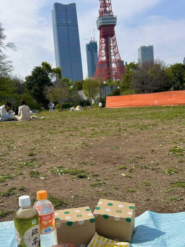 도쿄 시바공원에서 피크닉하기🥪/도쿄타워뷰🗼