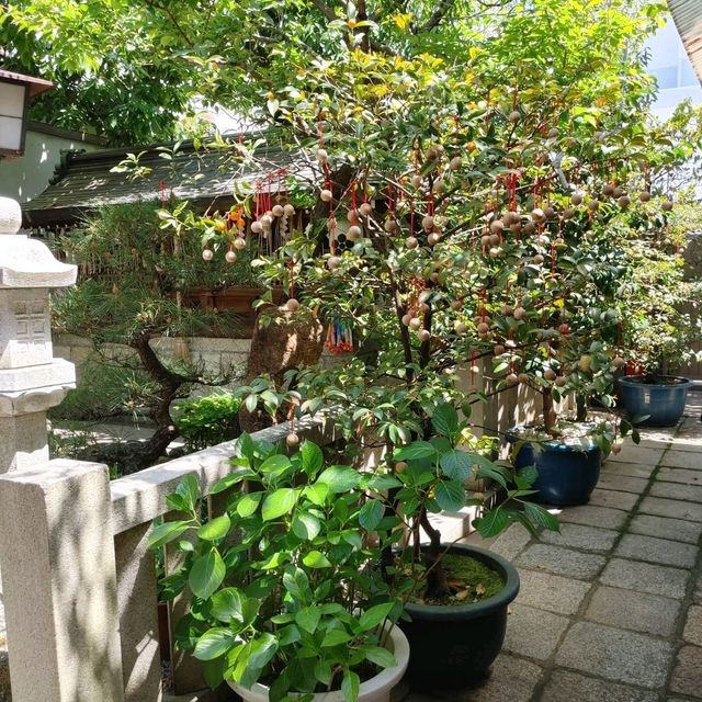 錦天満宮