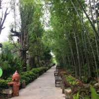 แดนเทวดาคาเฟ่