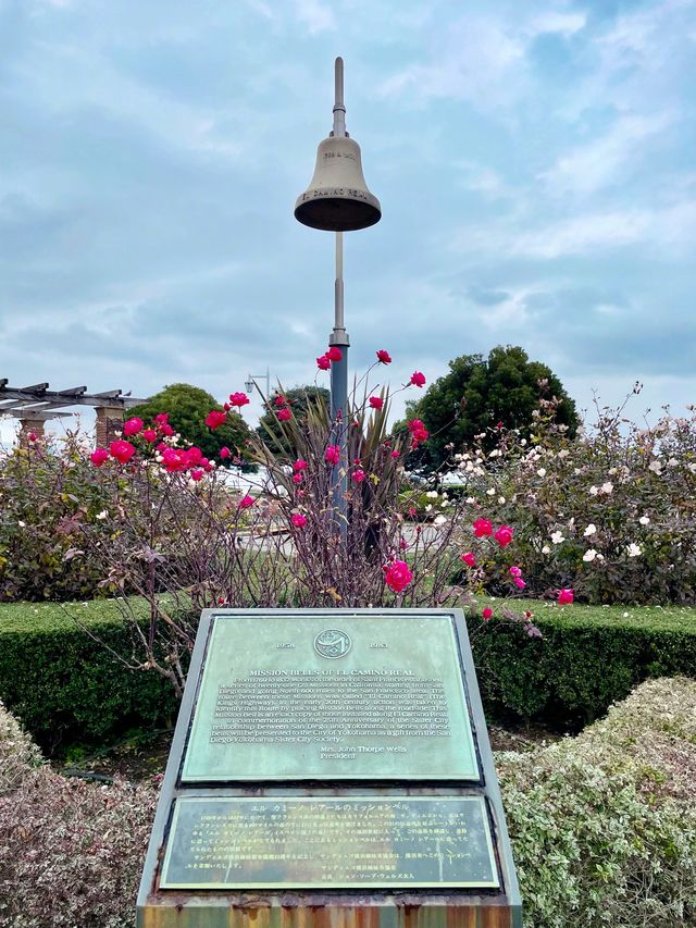 冬でも薔薇が見られる山下公園