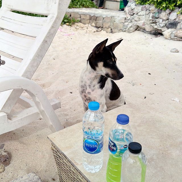 Feels like a private beach !