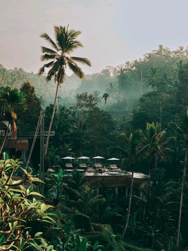 Amazing rice terraces in Ubud, Bali