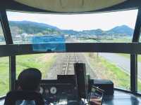 由布院之森🇯🇵🚞 不能錯過的九州觀光列車 🤩 