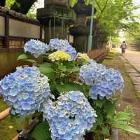 【上野】上野東照宮