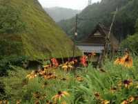 【京都】美しい自然と日本らしい風景が見られる美山かやぶきの里をご紹介