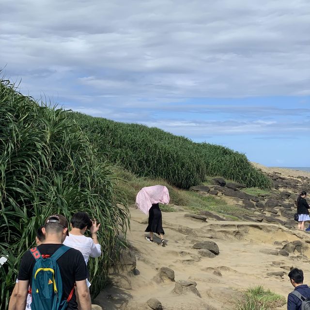 Elephant Trunk Rock, Hidden Photo Spot