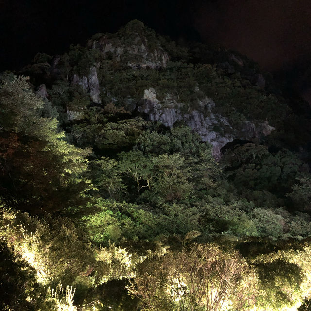 【御船山楽園ホテル】サウナとチームラボを満喫