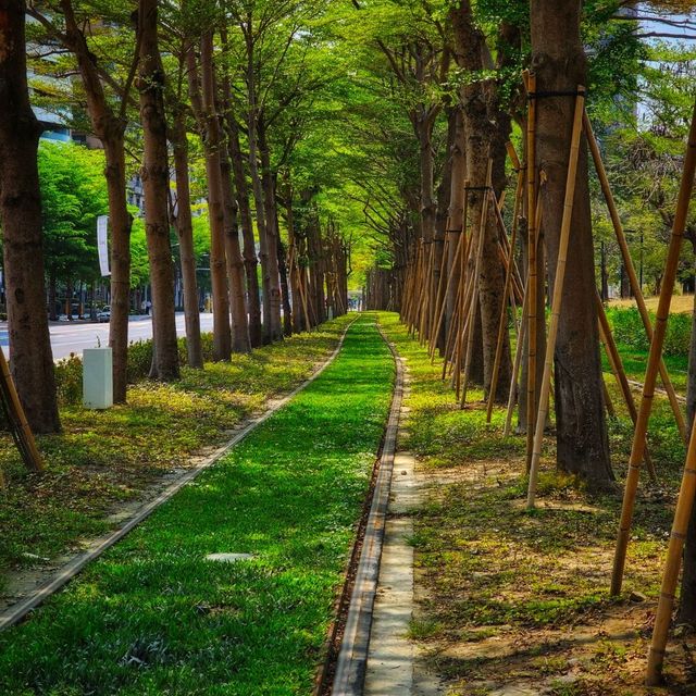 Kaohsiung LRT Tunnel