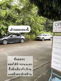 มื้อเช้าที่ โจ๊กนายโต (เชียงใหม่)