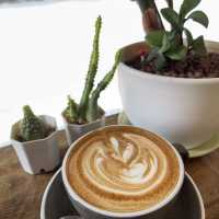 กาแฟดี ร้องขอชีวิต!! ติดริมทางวัดพระธาตุดอยสะเก็ด