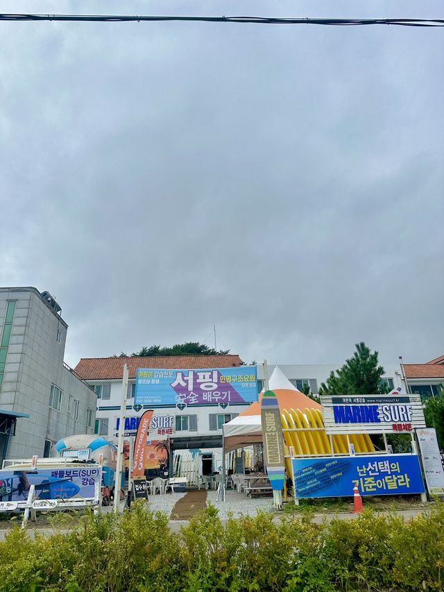 강원도 양양에서 즐기는 서핑🏄🏻‍♀️