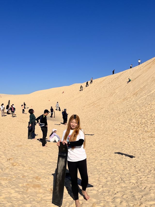 호주 시드니 사막에서 모래썰매타기 🏝️