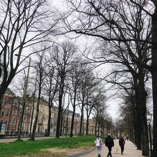 荷蘭🇳🇱海牙The Hague (Den Haag)🚶🏻‍♀️🚶🏿🚶🏻‍♂️ Hofvijver 散步看風景