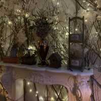The Hounge   Restaurant เวียงจันทน์
