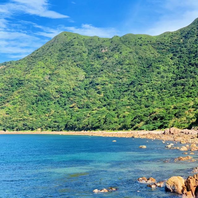 🌊🏞️ 富岡地質公園～海岸奇觀🌵⛰️🔭