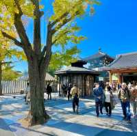 Isshin-ji: Serenity in Sculpted Splendor