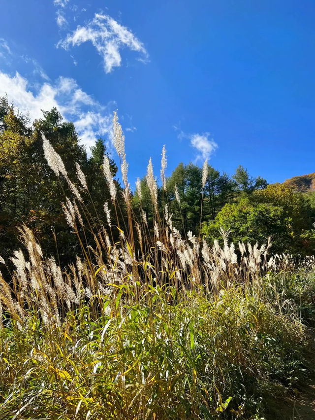 【福島】絶景が見れる薬師岳パノラマパーク