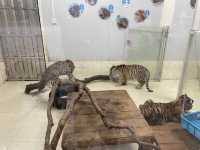 好玩的深圳野生動物園