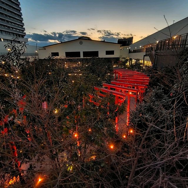 【大阪 弁天】フォトジェニックな赤い鳥居の水洗弁天宮⛩️