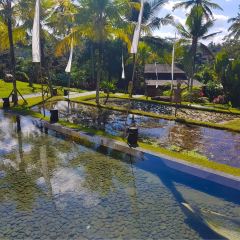 Jungle Fish Pool Bar Nutzerfoto