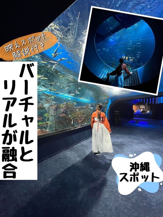 バーチャルとリアルが融合した水族館