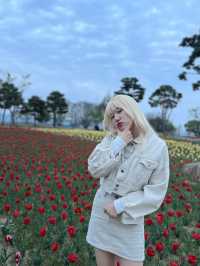 튤립이 한가득 핀 여주 금은모래강변공원💐