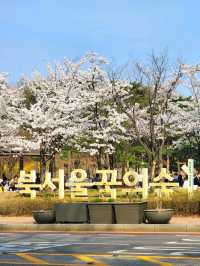 봄꽃 가득해 인기만점인 북서울꿈의숲🌱🌺🪻