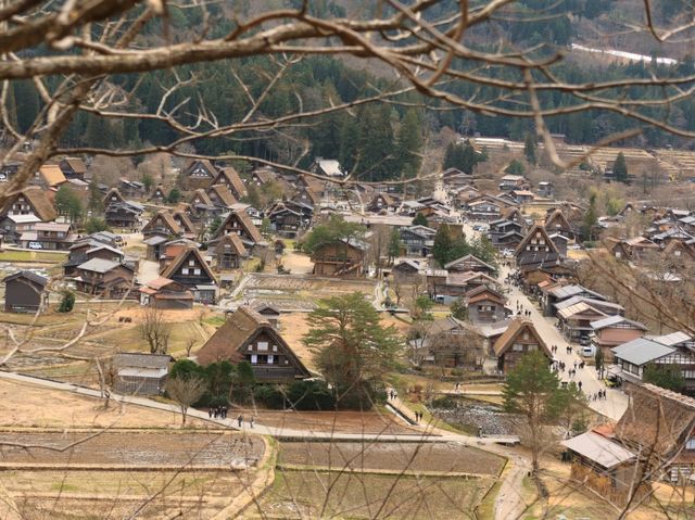 ➰白川鄉交通+遊覽分享🏔️