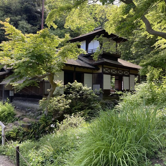 【神奈川県】横浜市　三溪園