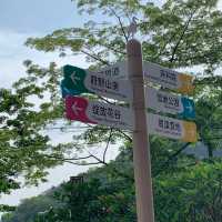 古鎮夜遊後來個花谷晨運🏃‍♀️🌻🏃‍♀️