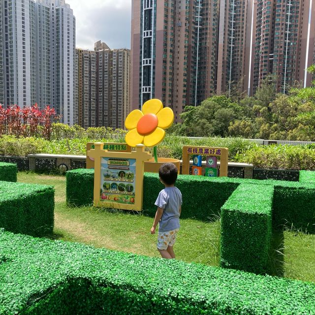 《青衣城戶外「綠化」升級 🌳，設三大互動環保打卡位📸】