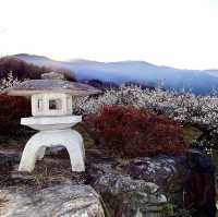 南濃梅園