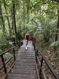 Peaceful vacation at Mutiara Taman Negara