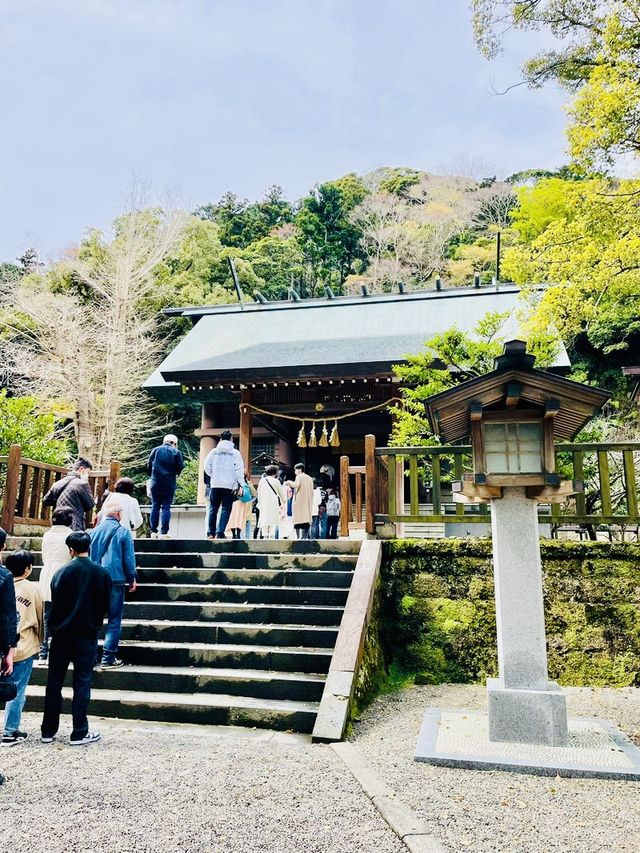 【安房神社/千葉県】日本三大金運神社