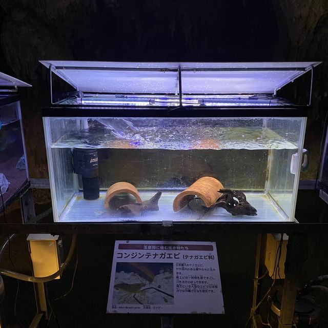 沖縄本島「玉泉洞」地底の絶景！幻想的な空間