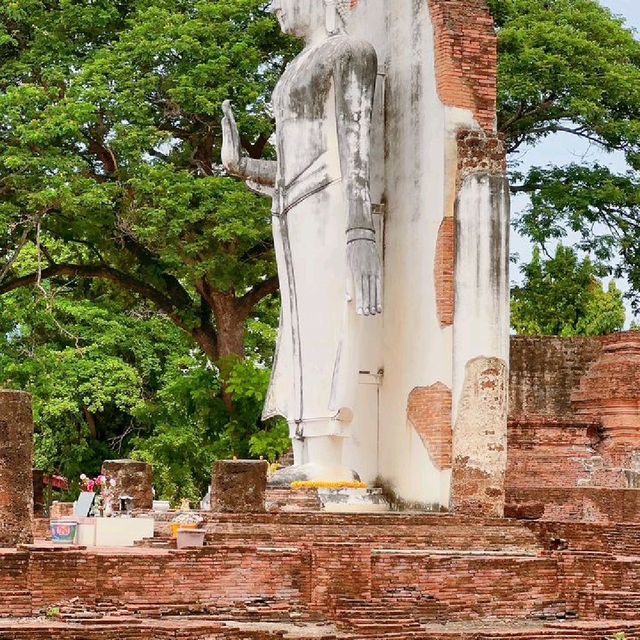 wat chinalat