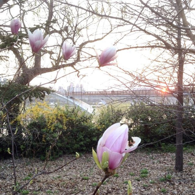 Hangang Riverside Park