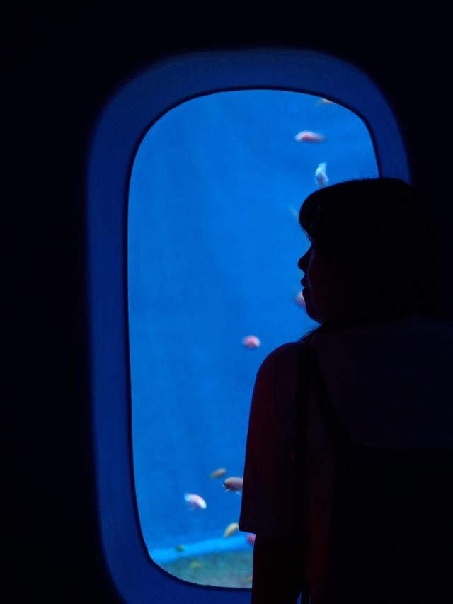 親子週末好去處｜歡樂海岸海洋奇夢館🌊