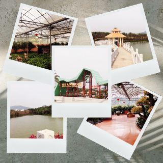 따뜻한 열대 지방🏝️광싱 국립 열대 농업 공원🌴🌺🏞️