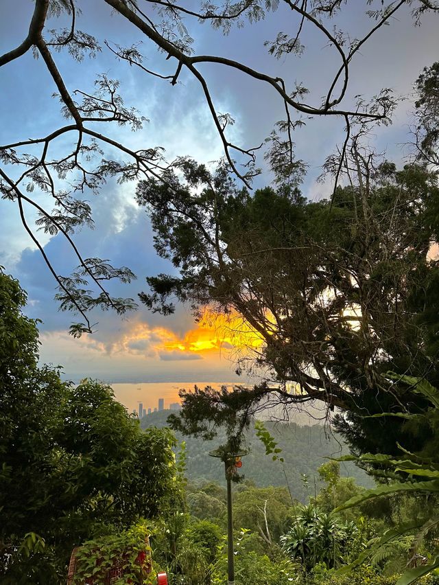 Amazing sunrise nature trails @Penang Hills